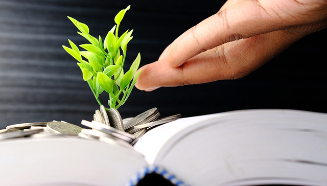 minerva,教育创新,融资