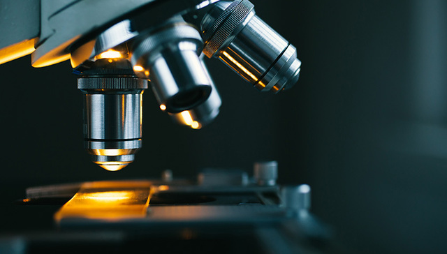 医学微生物学,埃博拉病毒,图片来源,博士,NML,休假,ZMapp,视频,行政事务,行政调查