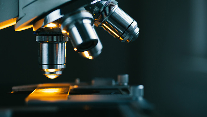 医学微生物学,埃博拉病毒,图片来源,博士,NML,休假,ZMapp,视频,行政事务,行政调查