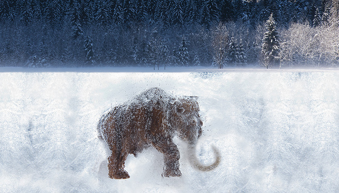 亚洲社会,天下故事,惊奇的发现