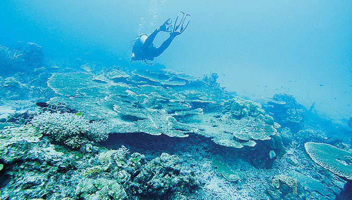 亚洲社会,天下故事