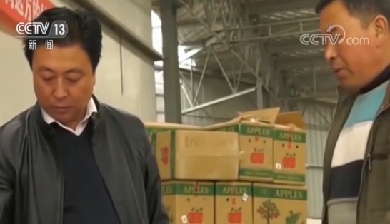 郑建军,向善,蜜桃,崇德,诚信经营,收购价格,秦安县,公司合同,农业科技,线上线