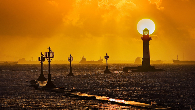 【看长江之变】上海治理长江生态，昔日钢渣滩涂变湿地公园