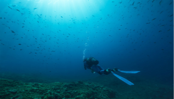 中国在国际海底区域再获专属勘探区