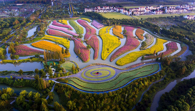 生态园,农民生活,农民宅基地,农民增收,村民,遗址,花海,墙黛瓦,朱泾镇,徐连生