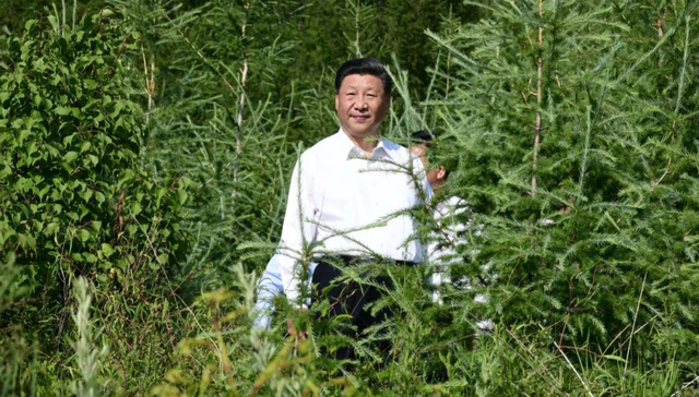 习近平,护林员,生态安全,巡护,林场工人,生态屏障,生态文明,生态建设,生态保护,爬坡