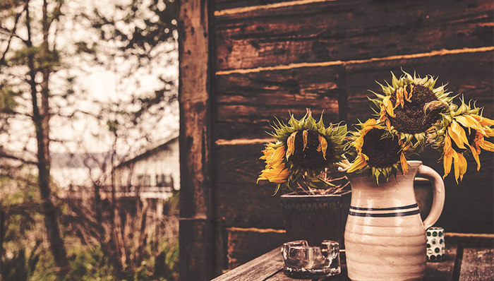 实控人变更,国企改革,高校改革