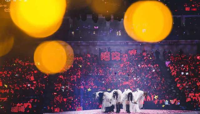 应援,灯牌,饭圈