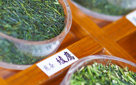 可口可乐,绫鹰,绿茶