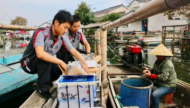 顺丰上半年营收近500亿元，特惠电商件拉动业务回升