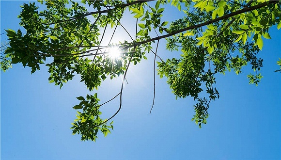 太湖旅游新三板挂牌上市，2018年度营收2452万元