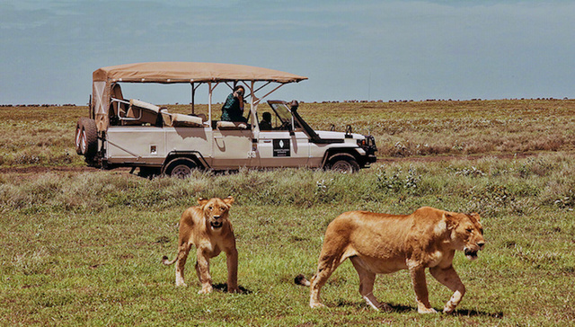 旅行新书《在时光里流浪》，江一燕说那里有她的记忆和灵魂