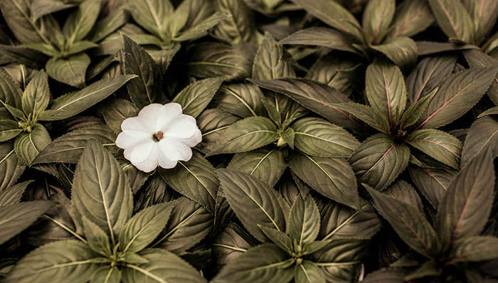 三一重工,工程机械,周期股