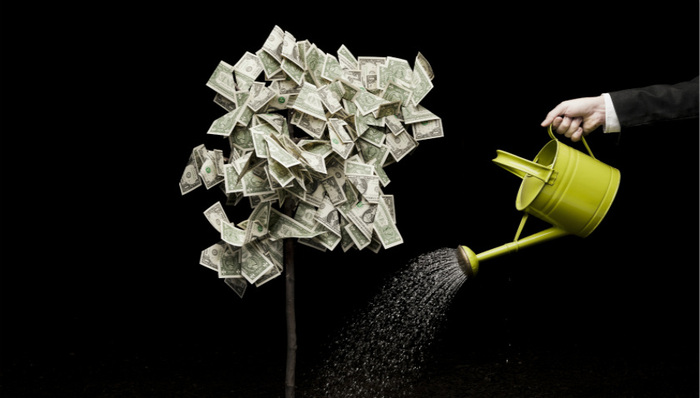 深创投,睿创微纳,光峰科技,澜起科技,西部超导