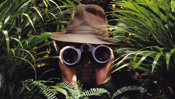 【界面早报】新浪微博明星势力榜向用户和消协致歉 孙宇晨因故取消与巴菲特的午餐会面