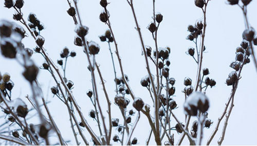 大股东,司法冻结,辅仁药业