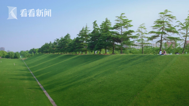 田园风光：浦星公路绿坡