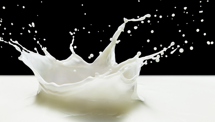 新乳业,奶源争夺