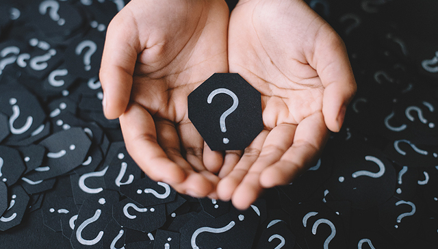 新数网络,吉贝尔