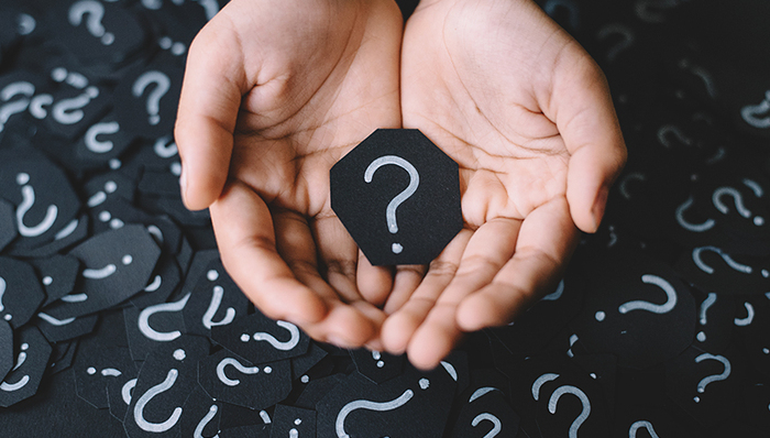 新数网络,吉贝尔