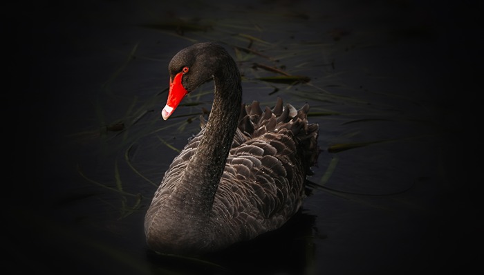 资产负债率，退市