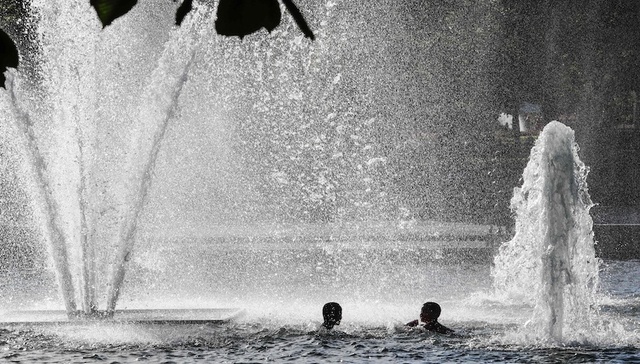 热浪,欧洲,高温,北极,野火,撒哈拉