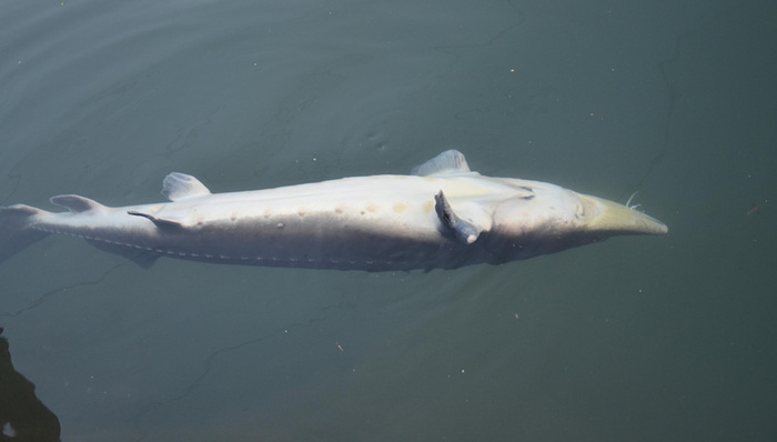 官僚主义,省发改委,负担行为,党的性质,三改,整治措施,党的政治建设,三查,中央纪委,形象工程