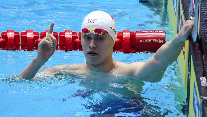 孙杨频获佳绩迎高光时刻，但他怎么就那么“招恨”？