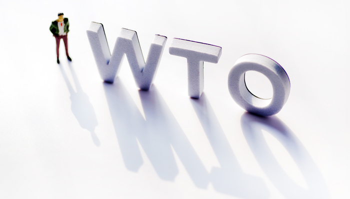 世贸组织,强权,差别待遇,特朗普,发展中国家,使用一切手段,社评,扩大就业,互利共赢,经济结构