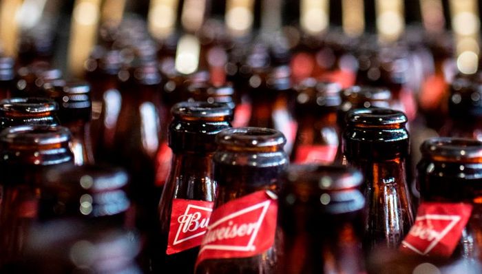 百威,啤酒