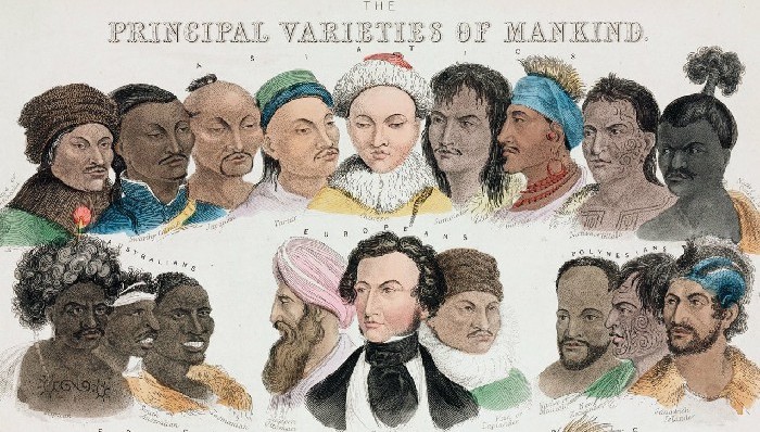 种族歧视,科学,数据,书评