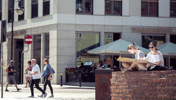 波兰,劳动力,欧洲社会