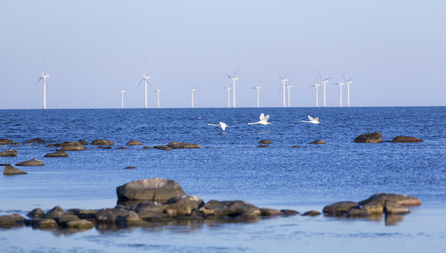 国投电力，海上风电