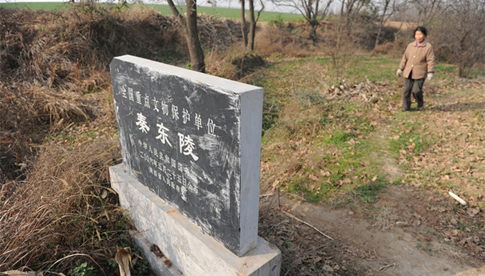 秦东陵,主犯,获刑,秦始皇,陵园,被告人,高足,大官,古墓葬罪,有期徒刑