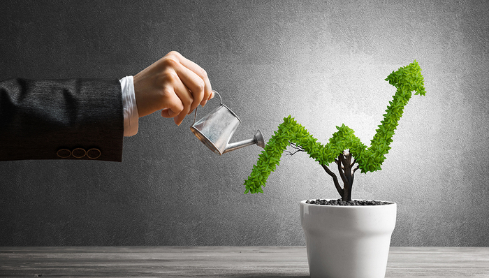 lsg,健乐,同比增长,香颂,汤臣倍健,保健,life-space,报告期内,董秘办,膳食营养