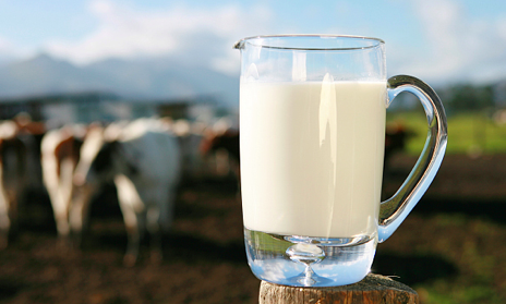 高端白奶市场迎来增长，致优娟姗鲜牛奶满足你的“品质”追求