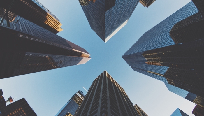 PhonePe,Tracxn,WeWork,ZAP,GeetanshBamania,Zoomcar