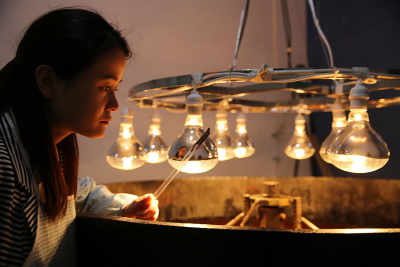 2017年陕西安康，袁端姣是西安交通大学传播学硕士研究生毕业，在省城做着一份令人羡慕的工作，但她选择放弃工作，开始做土漆生意。图片来源：视觉中国