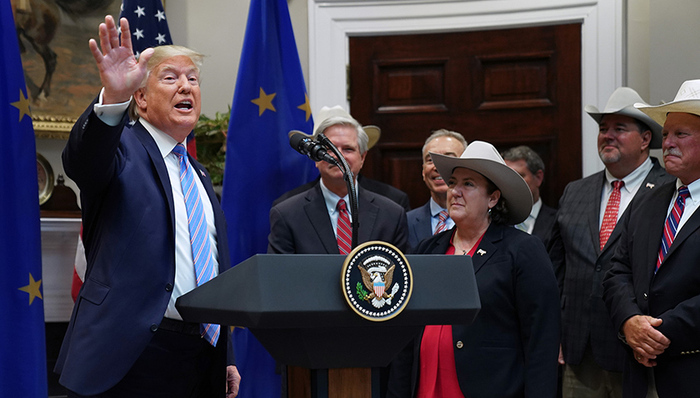 经济世界观,国际贸易