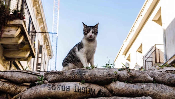 欧洲,塞浦路斯,边界