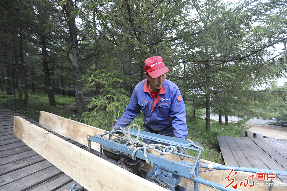 【新时代·幸福美丽新边疆】苏木山两代人的绿色守望