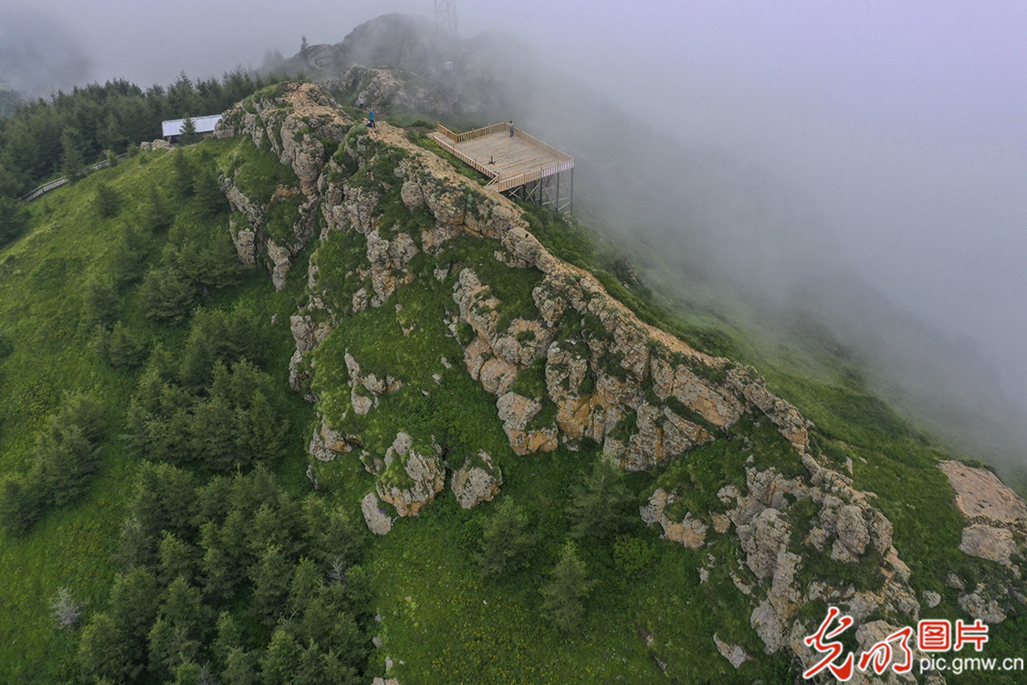 【新时代·幸福美丽新边疆】苏木山两代人的绿色守望