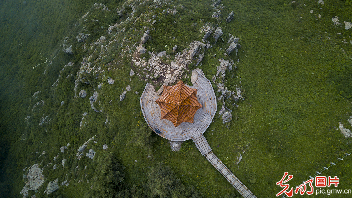 【新时代·幸福美丽新边疆】苏木山两代人的绿色守望