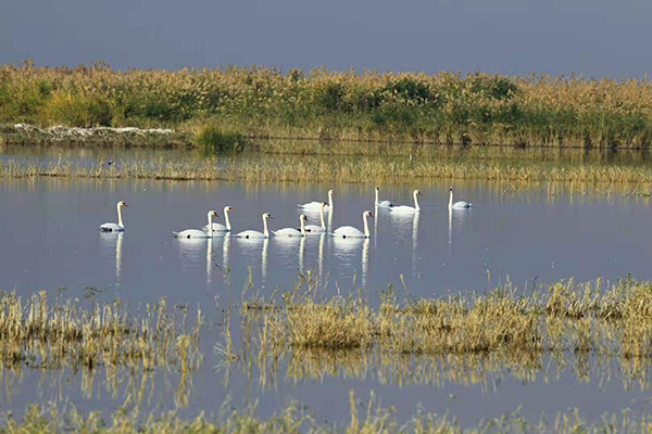 乌梁素海,内源污染,底泥污染,1983年,污染负荷,农业面源污染,巴彦淖尔,2019年,生态补水,总