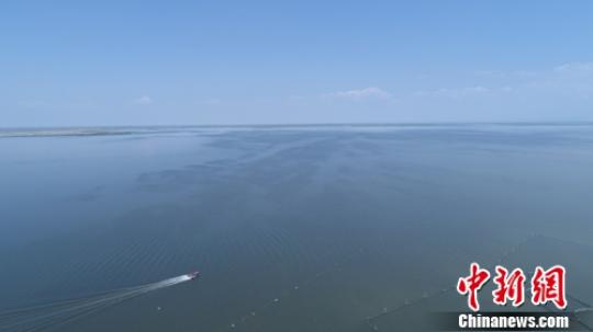 从鱼类绝迹到候鸟天堂——乌梁素海生态治理记