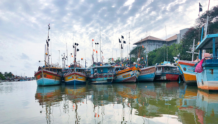 经济世界观,亚洲社会,天下故事