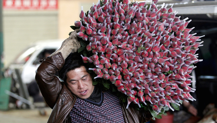 玫瑰,七夕,鲜切花,斗南花市