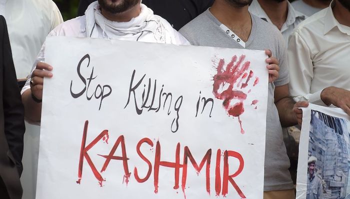 印巴,克什米尔,外交,贸易