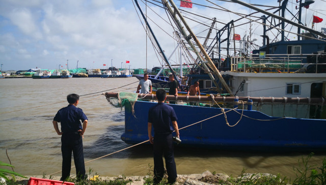 上海,台风,利奇马