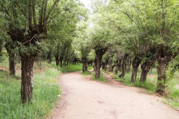 【新时代·幸福美丽新边疆】萨拉乌苏：深藏在内蒙古的人间秘境